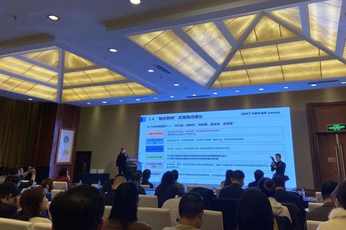 成都28家企業(yè)入選四川省軟件和信息技術(shù)服務(wù)業(yè)競爭力Top30，引領(lǐng)信息技術(shù)咨詢服務(wù)發(fā)展